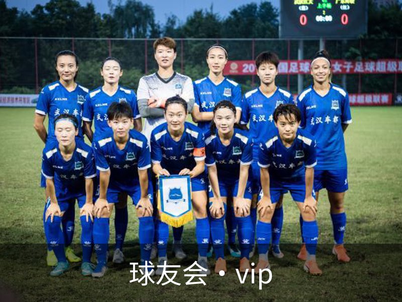 球友会·vip介绍